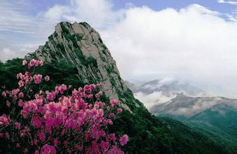 蒙山国家森林公园景区